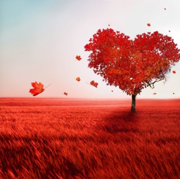 Meet your Posher, Jans - Picture 3 of 8